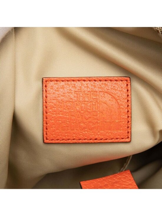 Gucci North Face GG Canvas panine Baninepanine Beige Orange Backpack main image 7